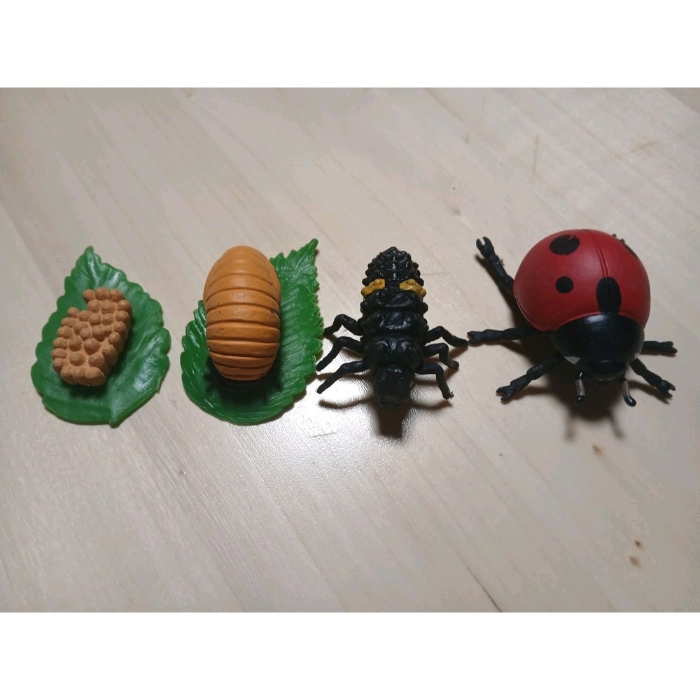Life Cycle Of A Ladybug Figures Safari Ltd NEW Toys Collectibles Kids Education